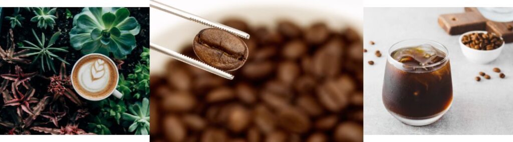 Cafés Especiales y Exóticos